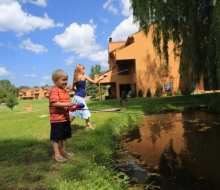 Fish in our Stocked Ponds