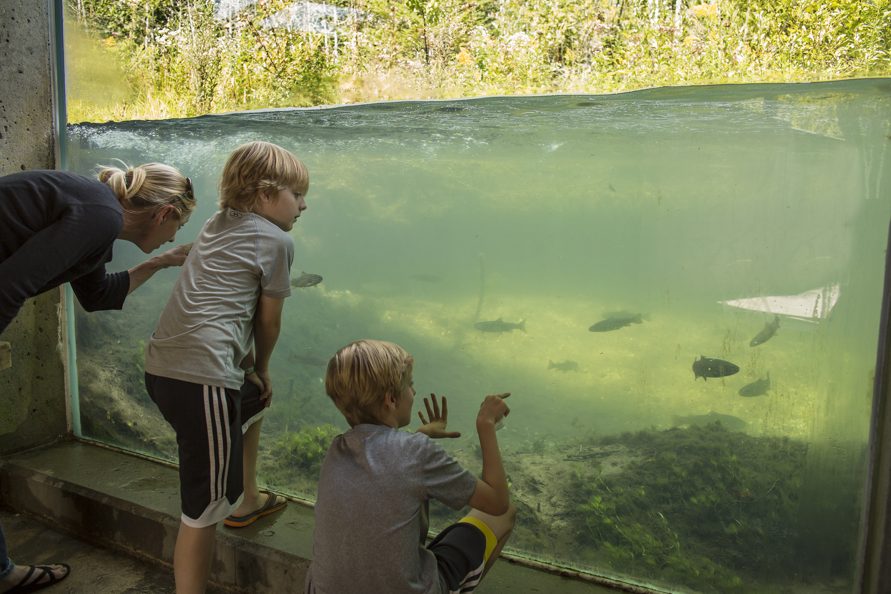 Oden Fish Hatchery 2-